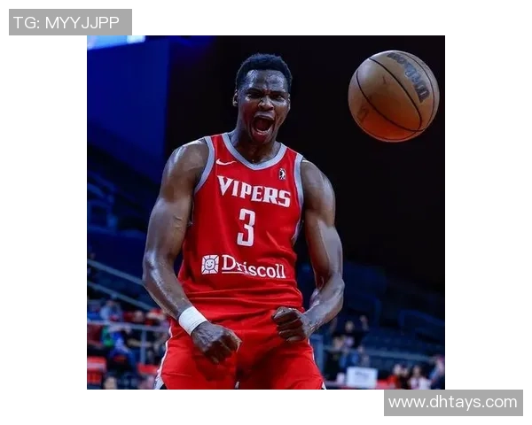 2004年NBA经典对决火箭队与老鹰队精彩录像回顾与分析