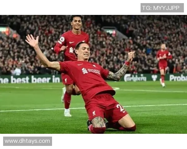 努涅斯在赛场上的崛起与挑战解析足球新星的成长之路 努涅斯在赛场上的崛起与挑战解析足球新星的成长之路